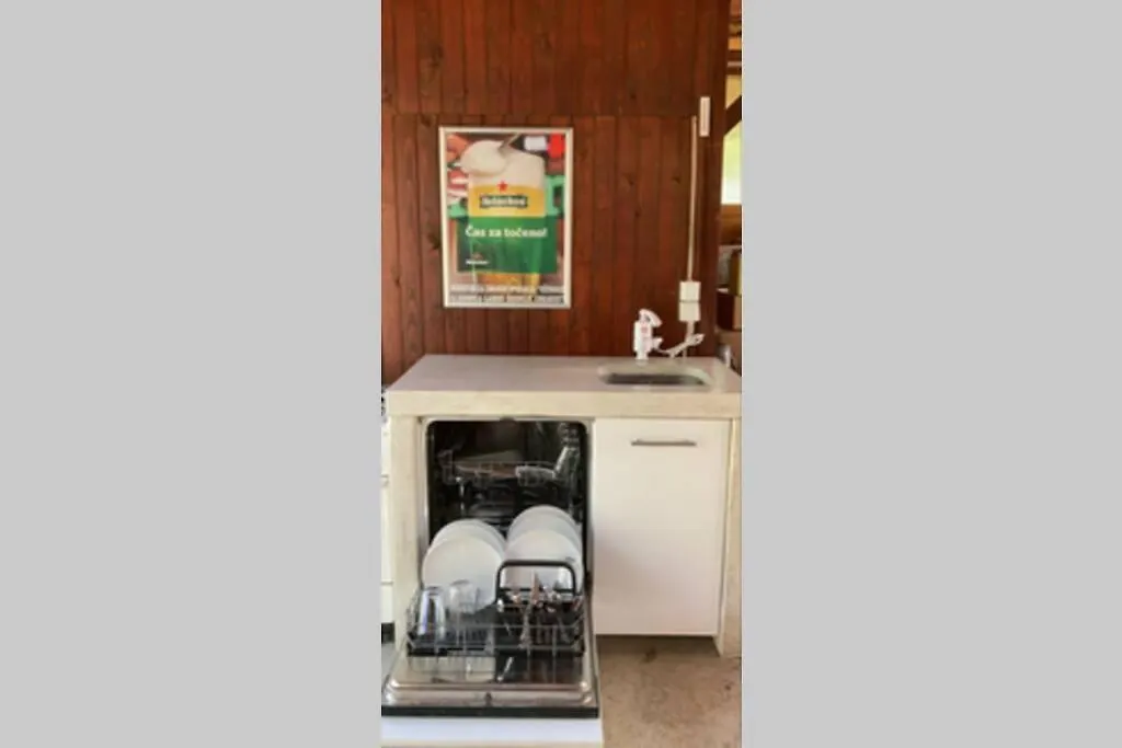 Apartment Huge Bbq Garden 1, Basement App Two Bathrooms, Ac, Free Parking Ljubljana Slovenia